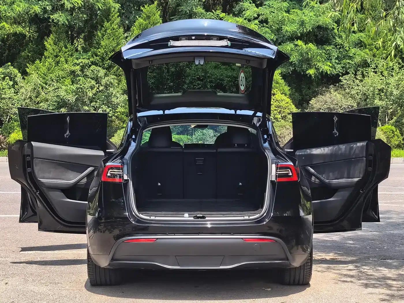 Model Y 2022 Long Range All-Wheel Drive — миниатюра 7