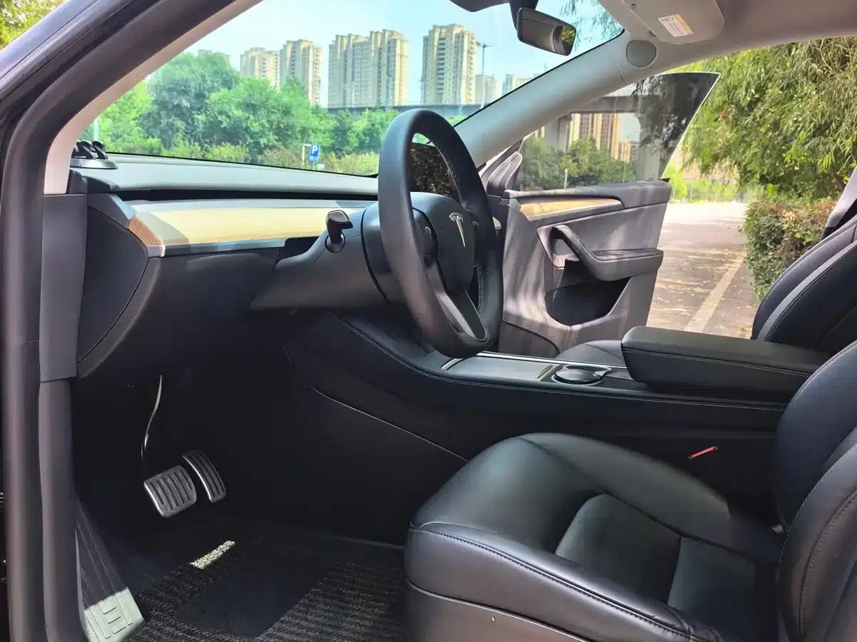 Model Y 2022 Long Range All-Wheel Drive — миниатюра 9