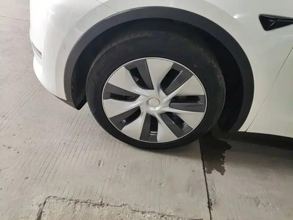 Model Y 2021 Standard Range Rear-Wheel Drive — миниатюра 23