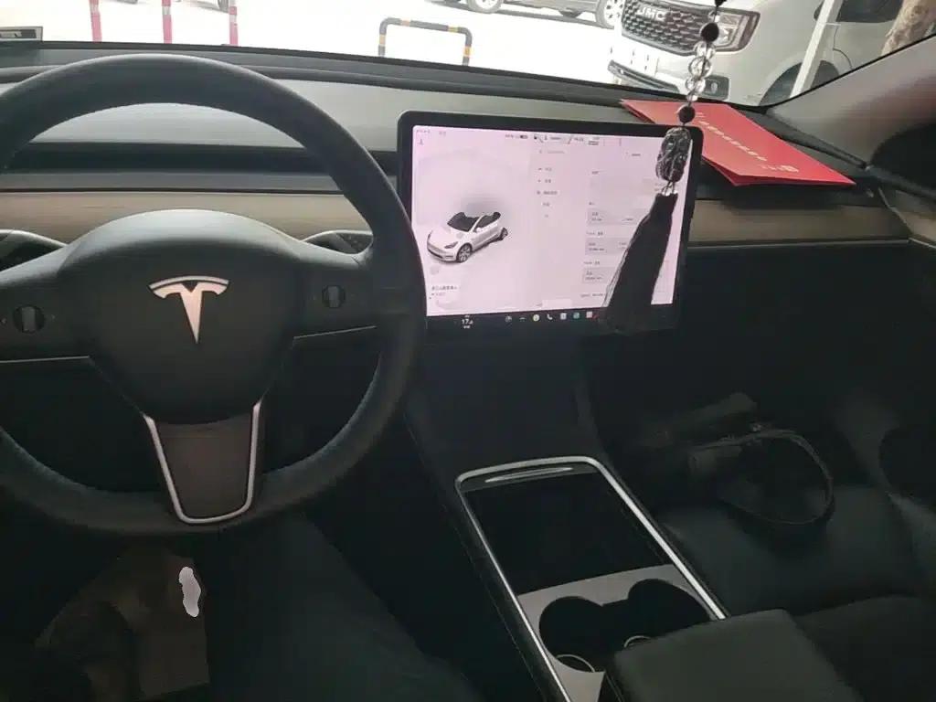 Model Y 2021 Standard Range Rear-Wheel Drive — миниатюра 10