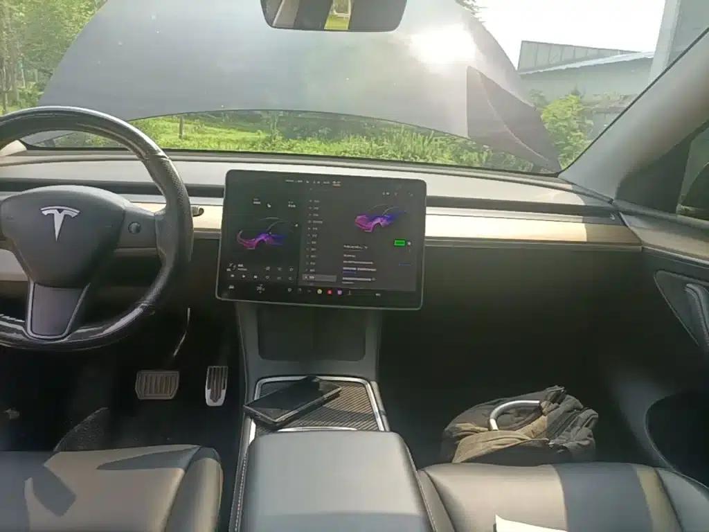 Model Y 2021 Standard Range Rear-Wheel Drive — миниатюра 13