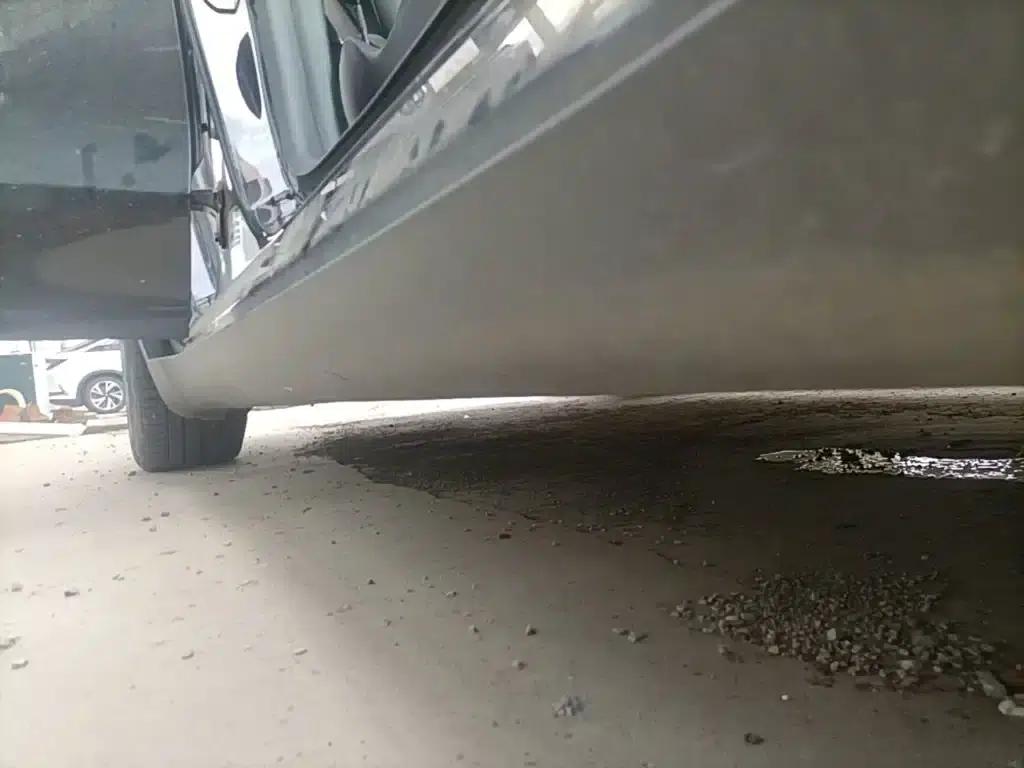 Model Y 2021 Standard Range Rear-Wheel Drive — миниатюра 21