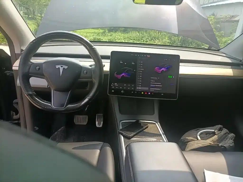 Model Y 2021 Standard Range Rear-Wheel Drive — миниатюра 10