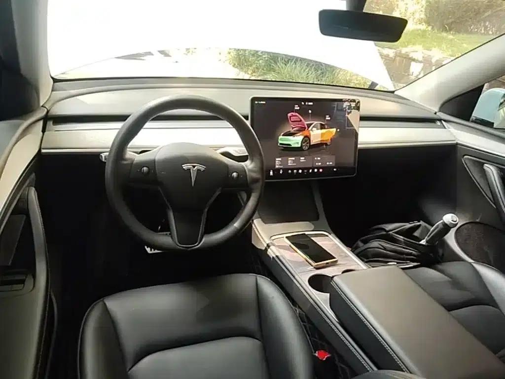 Model Y 2023 Long Range All-Wheel Drive — миниатюра 10