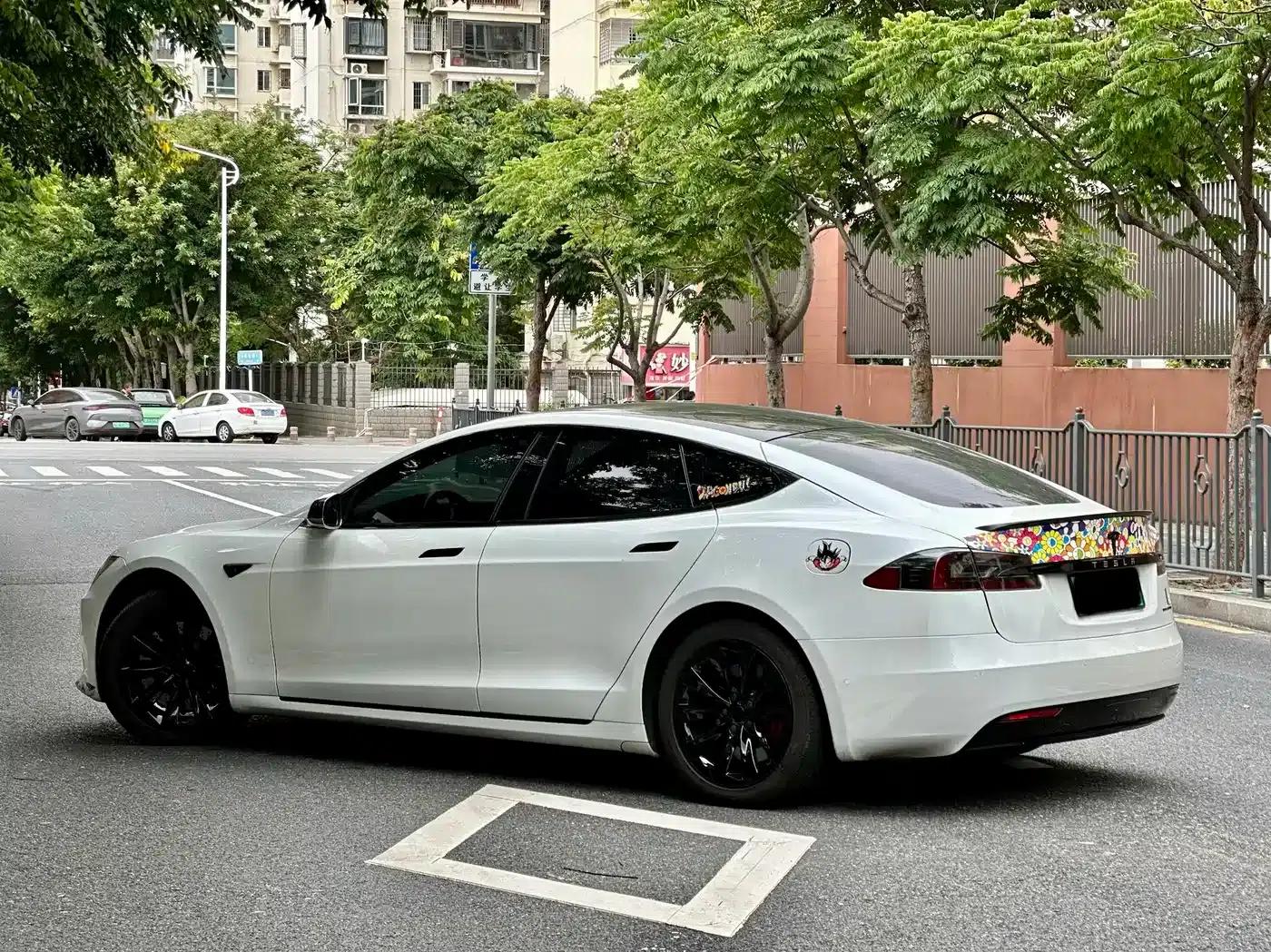 Model S 2019 Long Range — миниатюра 7