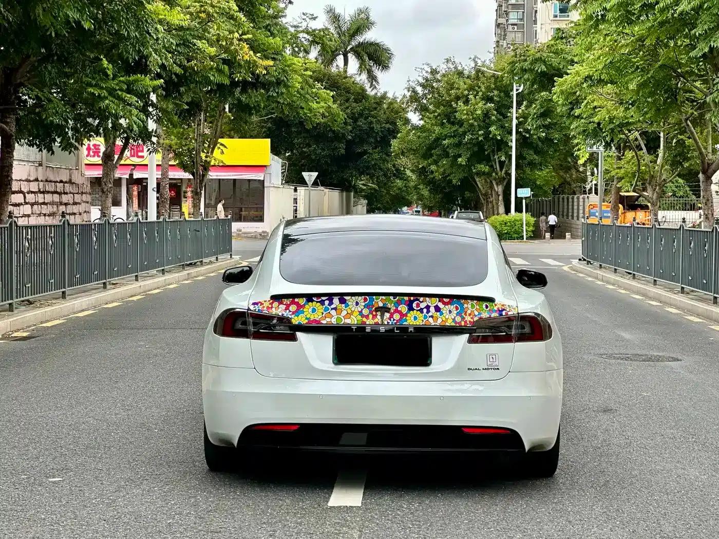 Model S 2019 Long Range — миниатюра 8