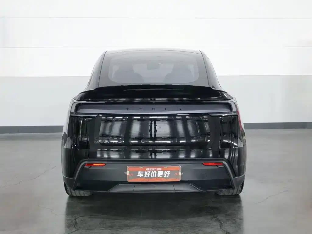 Model Y L 2025 Long Range All-Wheel Drive — миниатюра 4