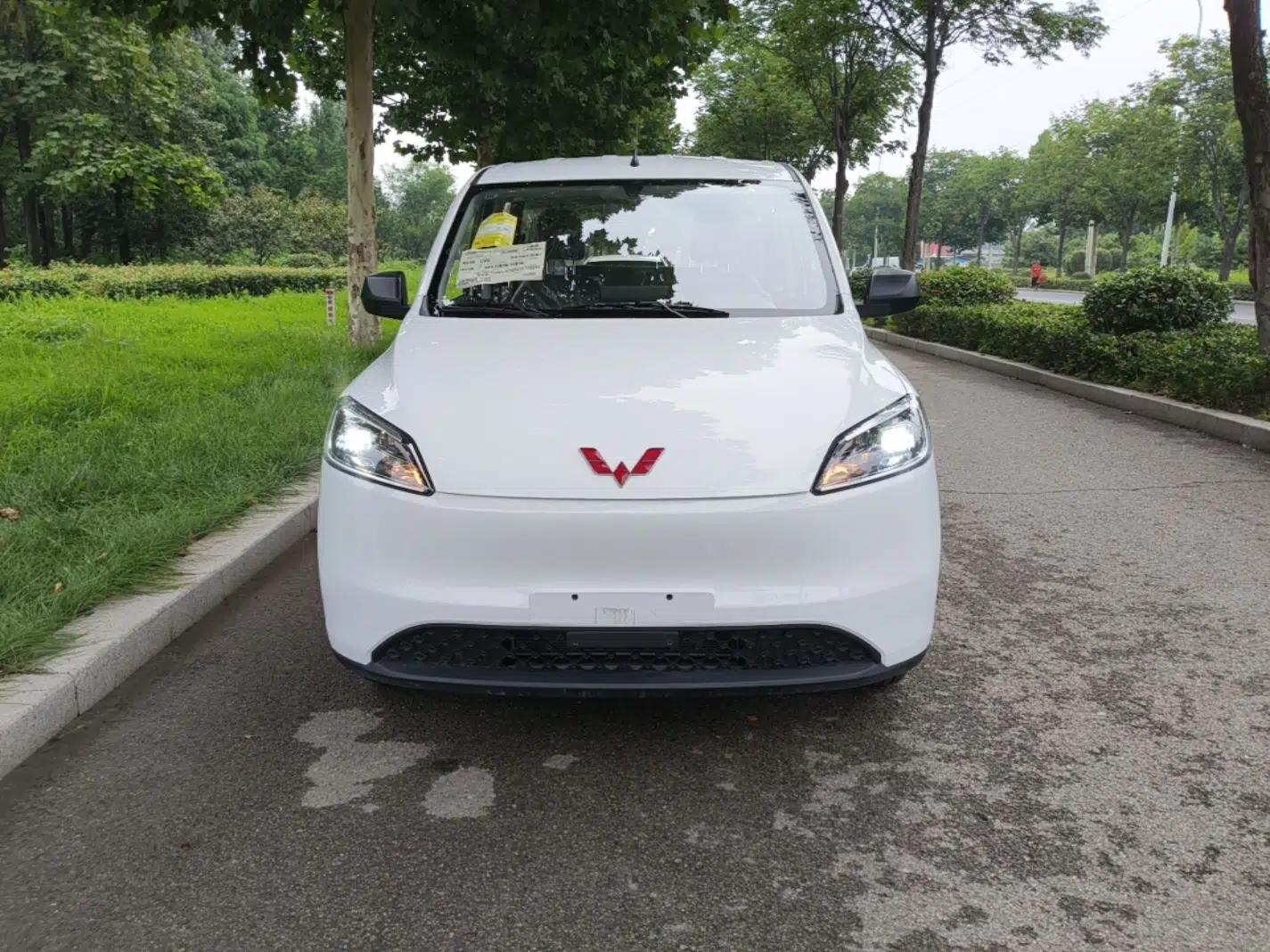 Wuling Hongguang New Energy 2024 All-Electric Model 300KM Standard Version — миниатюра 2