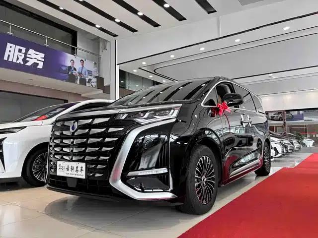 Denza D9 2024 DM-i 1050 Premium Edition