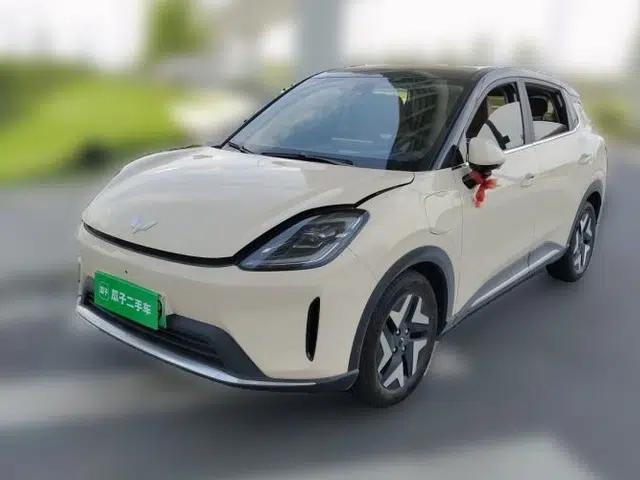 Wuling Bingo S 2025 Model 430km Flagship Edition