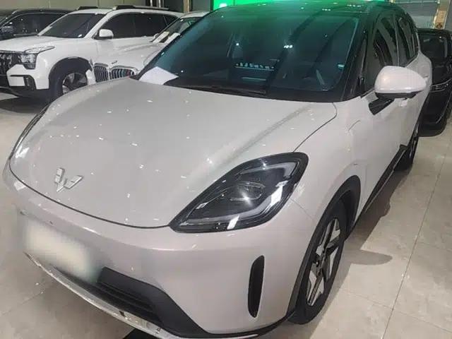 Wuling Bingo S 2025 Model 430km Flagship Edition