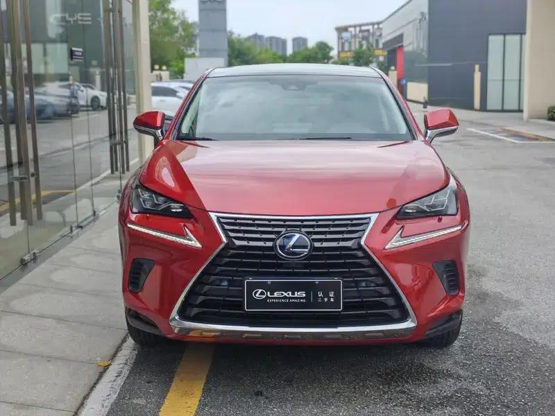 Lexus NX 2018 300h AWD Premium Edition (China V Emission Standard) — миниатюра 2