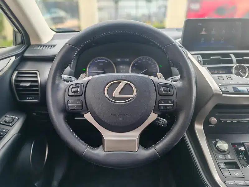 Lexus NX 2018 300h AWD Premium Edition (China V Emission Standard) — миниатюра 11