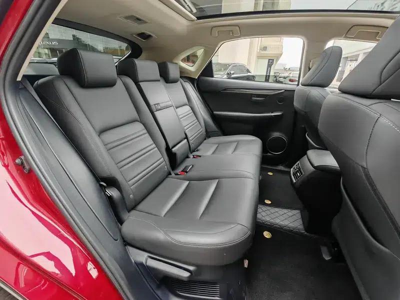 Lexus NX 2018 300h AWD Premium Edition (China V Emission Standard) — миниатюра 17