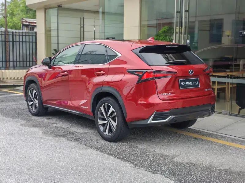 Lexus NX 2018 300h AWD Premium Edition (China V Emission Standard) — миниатюра 4