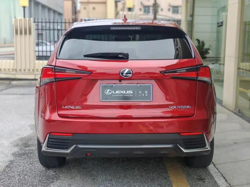 Lexus NX 2018 300h AWD Premium Edition (China V Emission Standard) — миниатюра 5