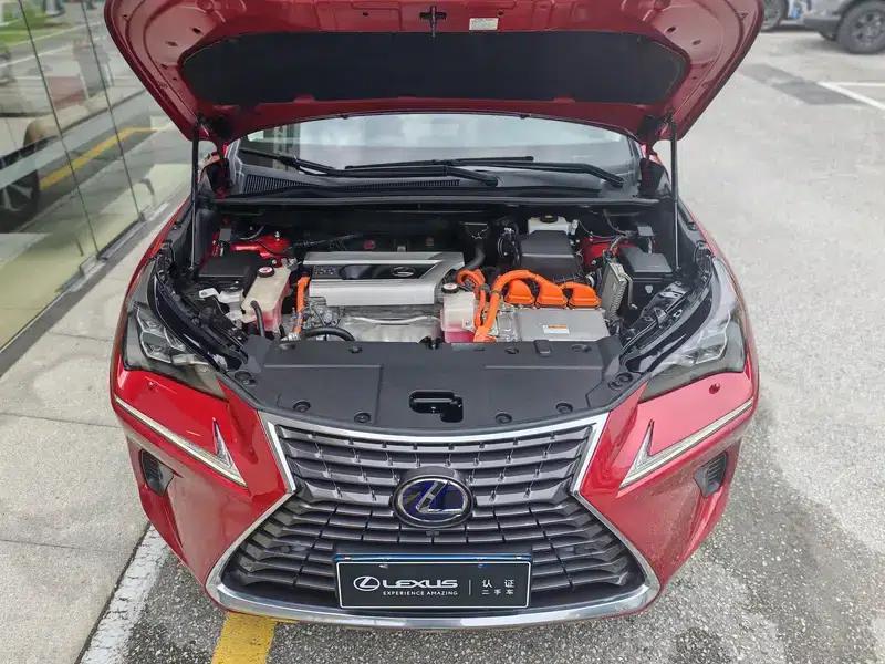 Lexus NX 2018 300h AWD Premium Edition (China V Emission Standard) — миниатюра 6