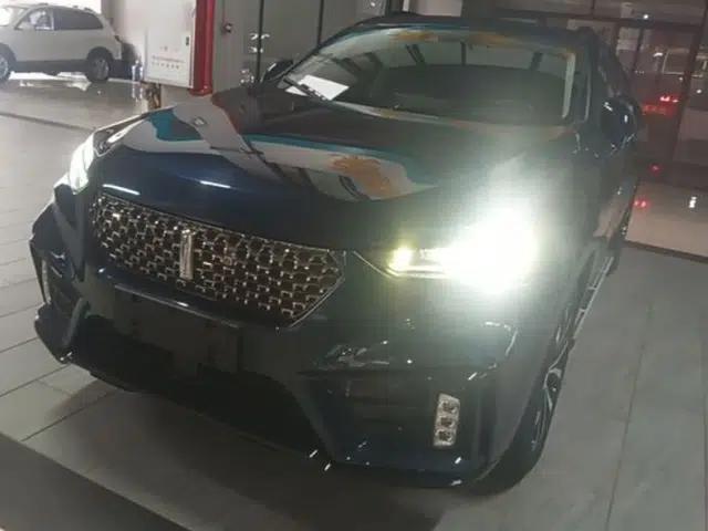 Wey VV7 2020 2.0T Ultra-Luxury Version