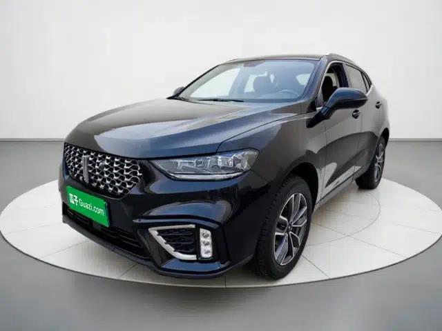 Wey VV5 2021 1.5T Two-Wheel Drive Color Pioneer