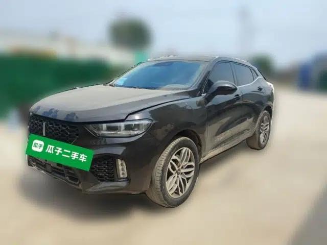 Wey VV5 2019 2.0T Two-Wheel-Drive Ultimate Edition