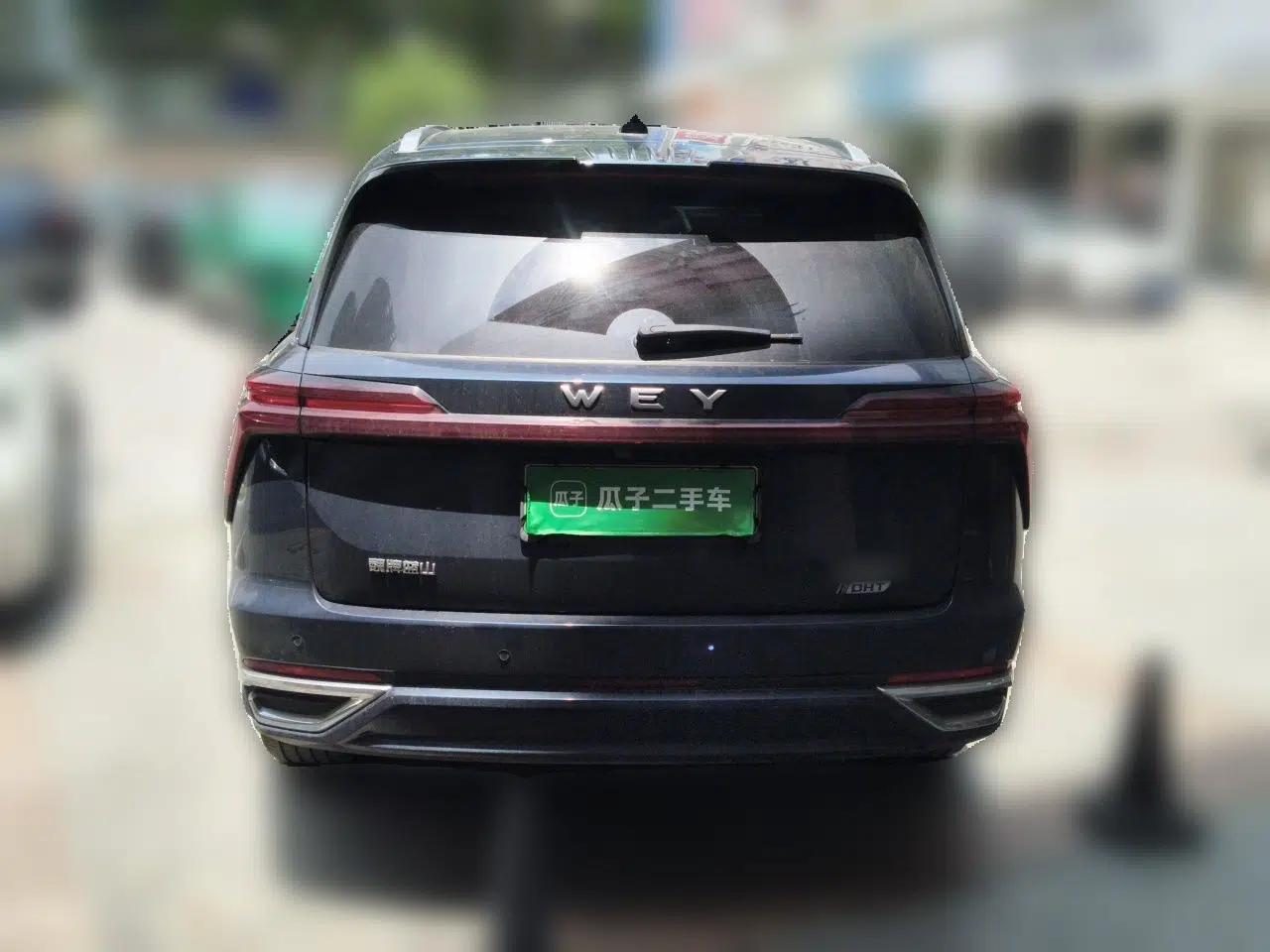 Wey Lanshan 2023 Four-Wheel Drive Ultra-Long Range Version — миниатюра 5