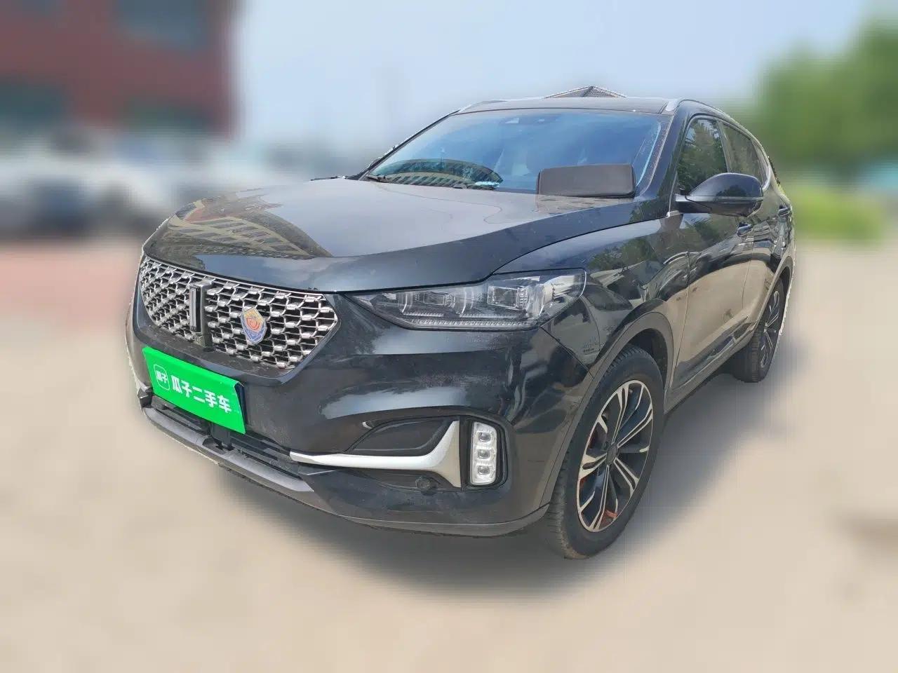 Wey VV6 2021 2.0T Two-Wheel-Drive Child-Care Edition — миниатюра 1