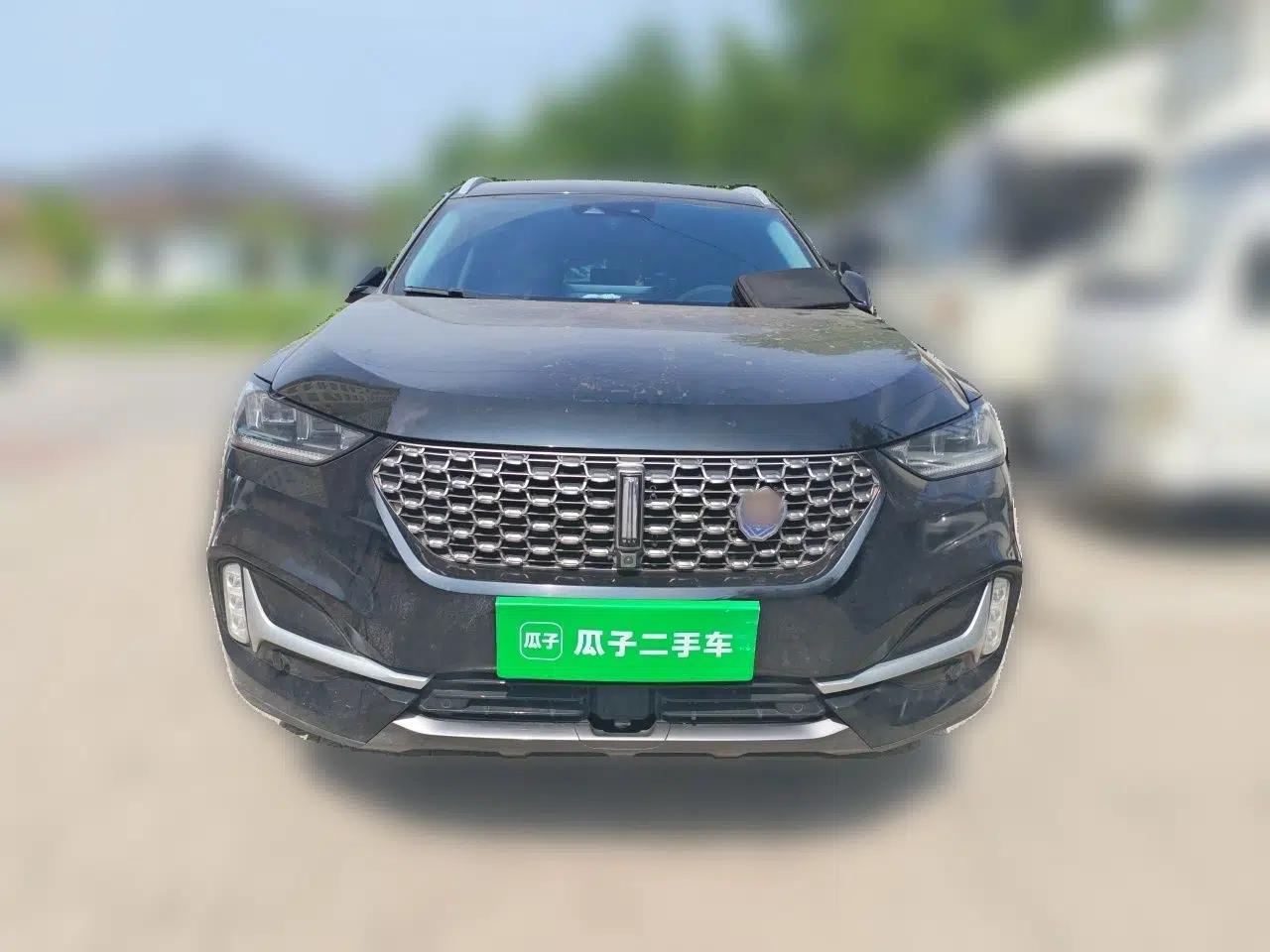 Wey VV6 2021 2.0T Two-Wheel-Drive Child-Care Edition — миниатюра 2
