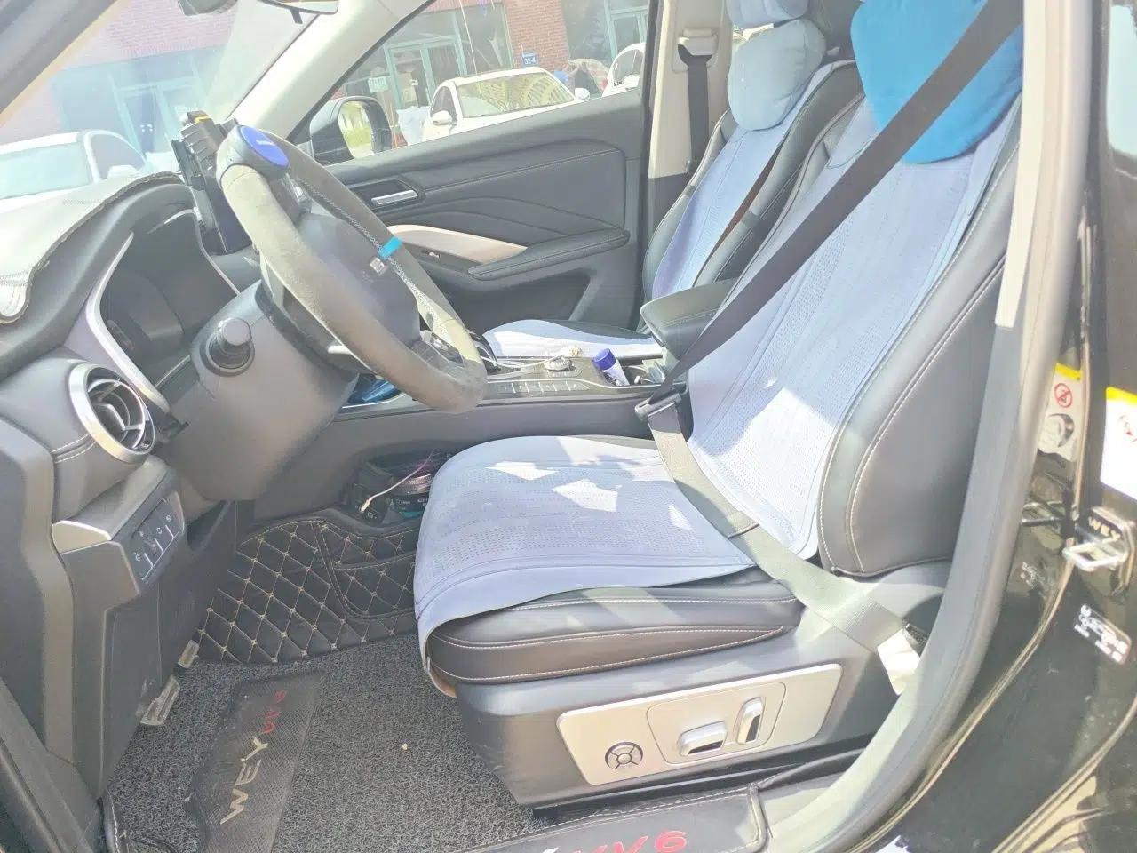 Wey VV6 2021 2.0T Two-Wheel-Drive Child-Care Edition — миниатюра 15