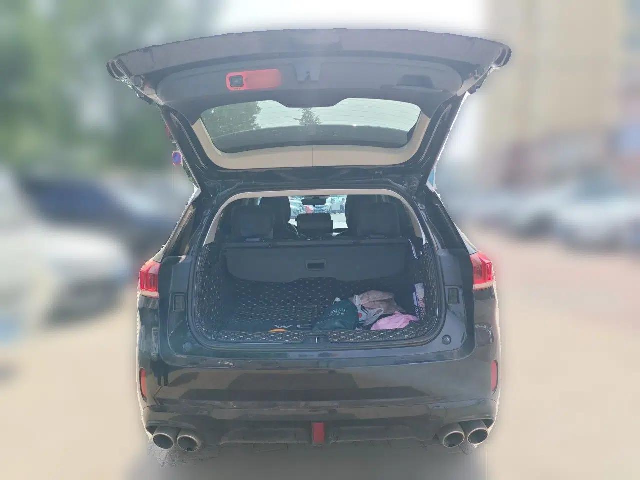 Wey VV6 2021 2.0T Two-Wheel-Drive Child-Care Edition — миниатюра 19