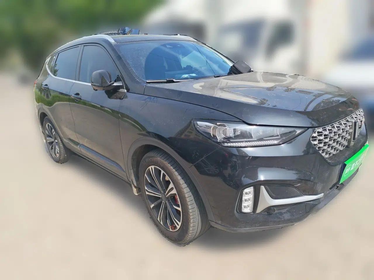 Wey VV6 2021 2.0T Two-Wheel-Drive Child-Care Edition — миниатюра 3