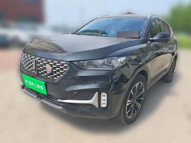 Wey VV6 2021 2.0T Two-Wheel-Drive Child-Care Edition