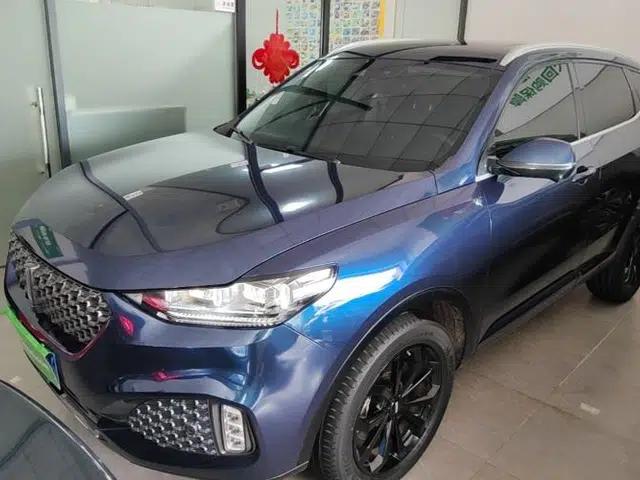Wey VV6 2020 2.0T Two-Wheel Drive Smart Protection+