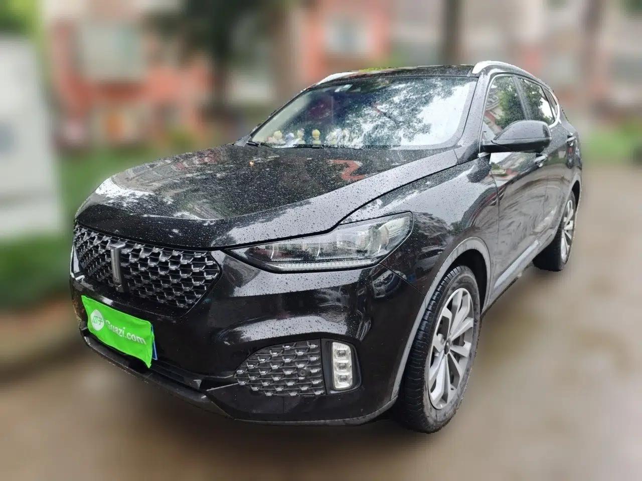 Wey VV6 2020 2.0T Two-Wheel Drive Smart Protection+ — миниатюра 1