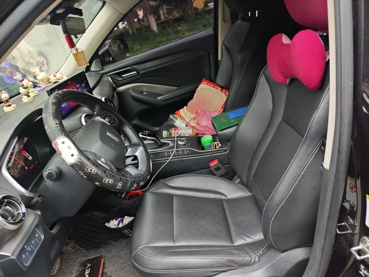 Wey VV6 2020 2.0T Two-Wheel Drive Smart Protection+ — миниатюра 15