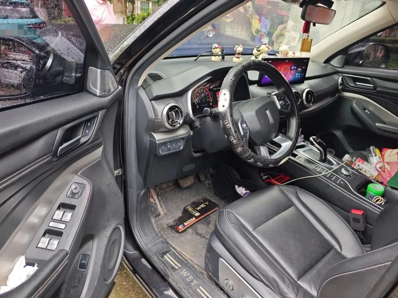 Wey VV6 2020 2.0T Two-Wheel Drive Smart Protection+ — миниатюра 16