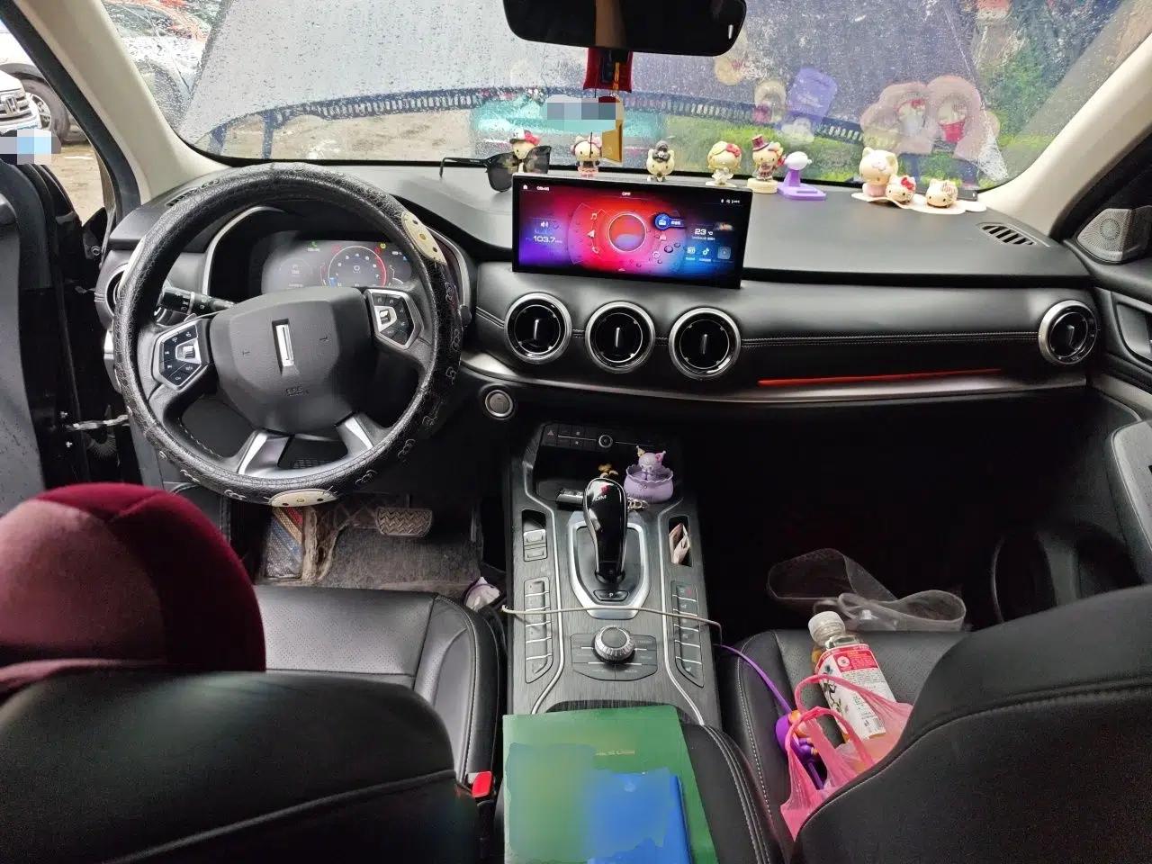 Wey VV6 2020 2.0T Two-Wheel Drive Smart Protection+ — миниатюра 9