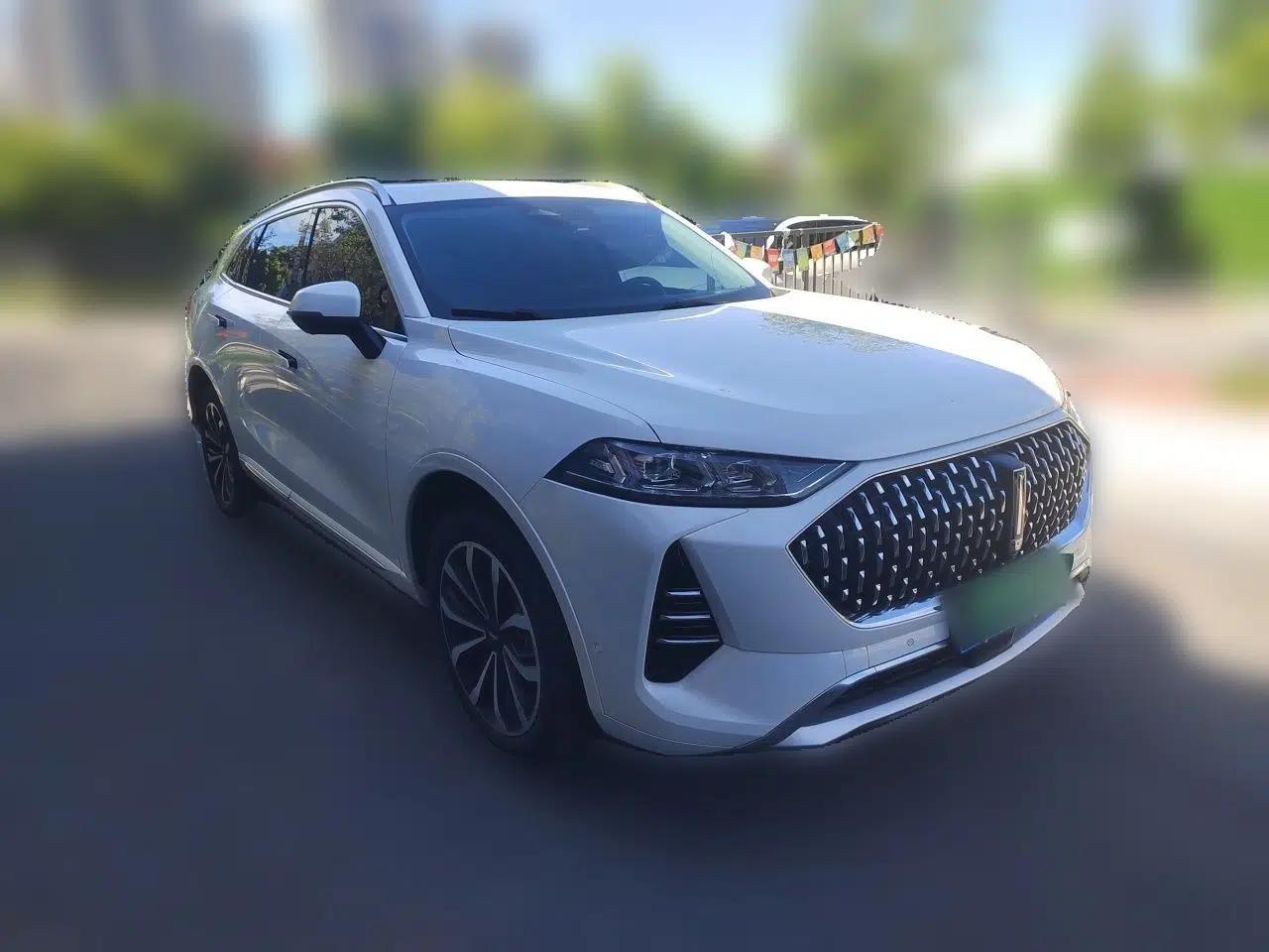 Wey Mocha 2021 2.0T Two-Wheel-Drive Premium Edition — миниатюра 3