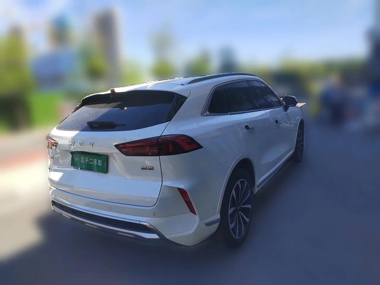 Wey Mocha 2021 2.0T Two-Wheel-Drive Premium Edition — миниатюра 6