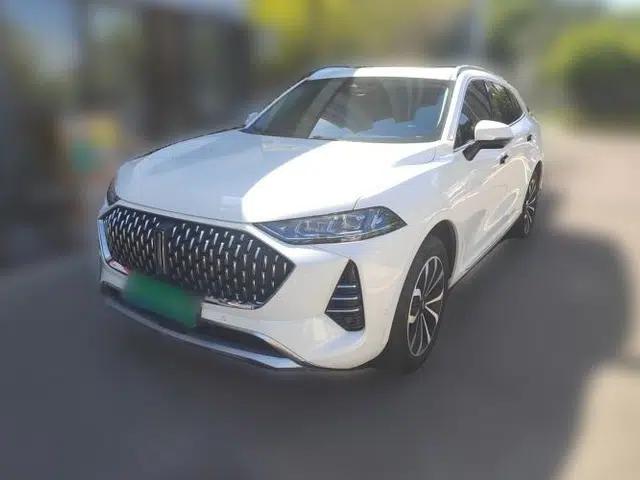 Wey Mocha 2021 2.0T Two-Wheel-Drive Premium Edition