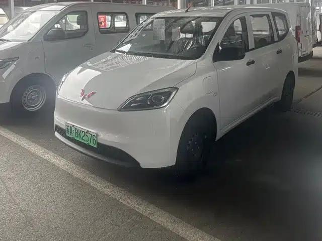 Wuling Hongguang New Energy 2024 Pure Electric Version 300KM Standard Edition