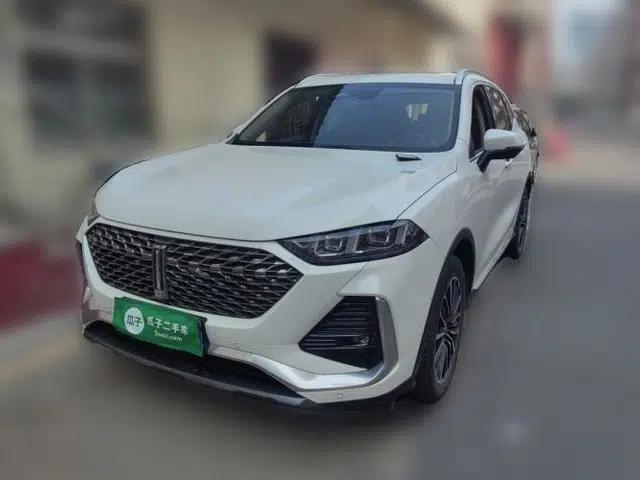 Wey Latte DHT-PHEV 1.5T DHT Large Version