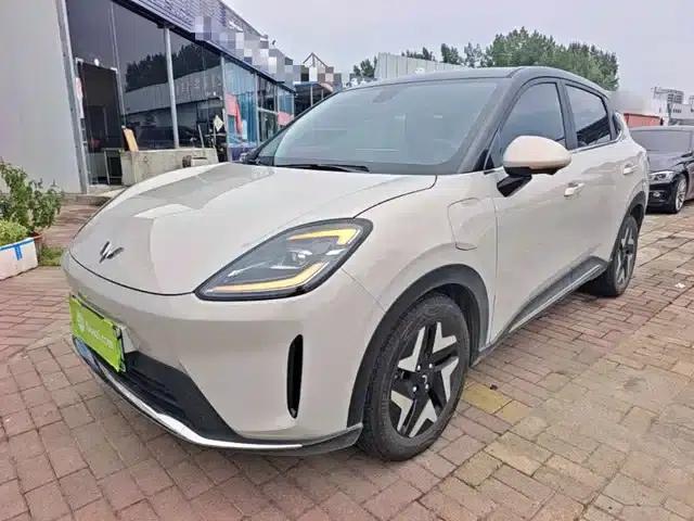 Bingo S 2025 Flagship Model 430km