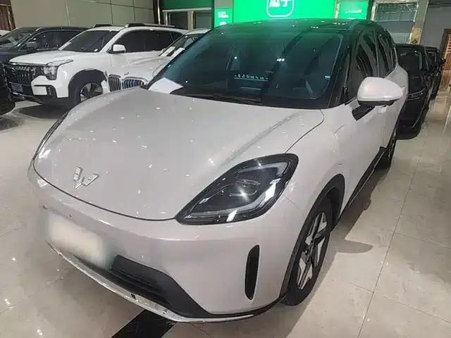 Bingo S 2025 Flagship Model 430km