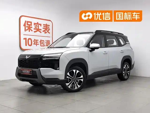 Starlight 560 New Energy 2026 Plug-in Hybrid 125km/h Luxury Model
