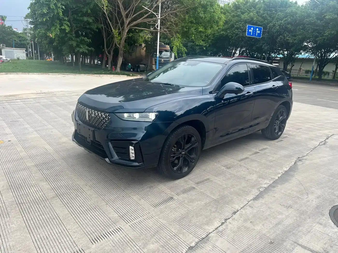 Weipai VV7 2020 2.0T Flagship Edition — миниатюра 3