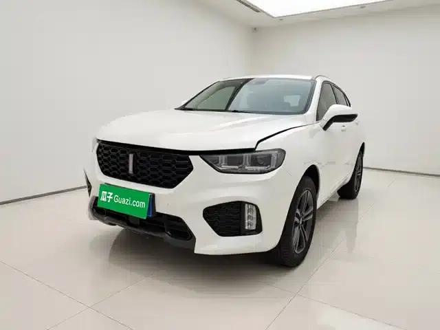 Weipai VV5 2019 2.0T Two-Wheel Drive Final Edition