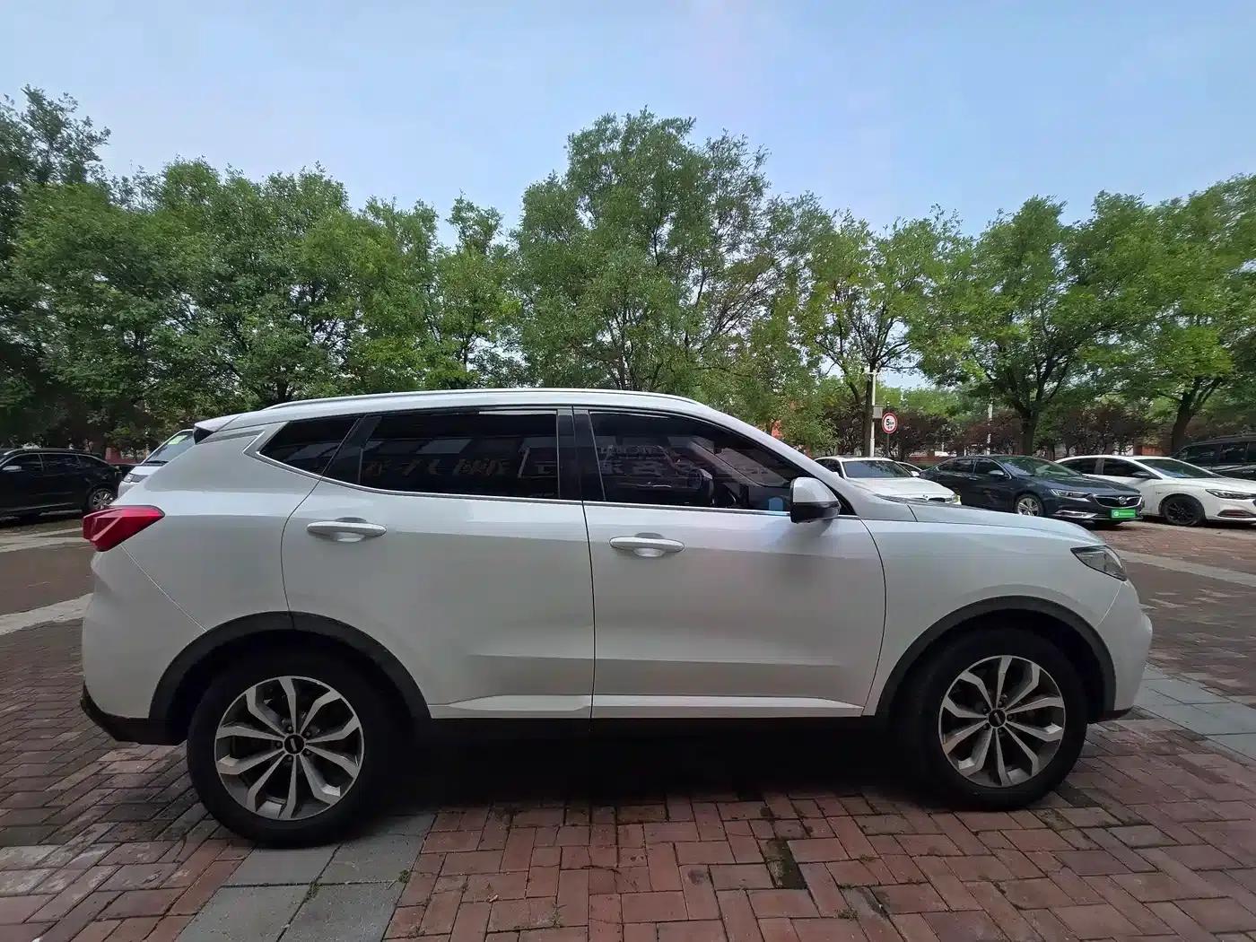 Wey VV6 2018 2.0T 2WD Super Luxury Edition (National V Emission Standard) — миниатюра 7