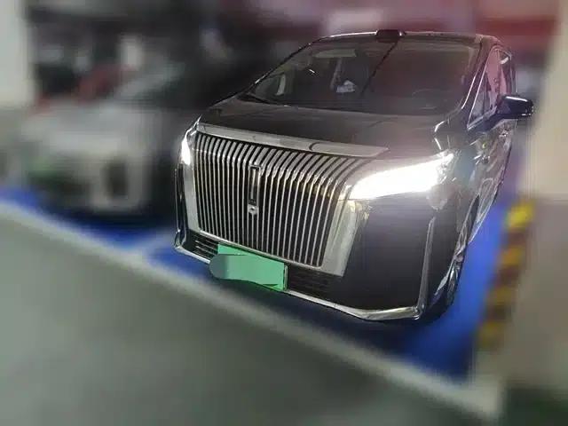 Weipai Gaoshan 2025 Model 4WD Gaoshan 8