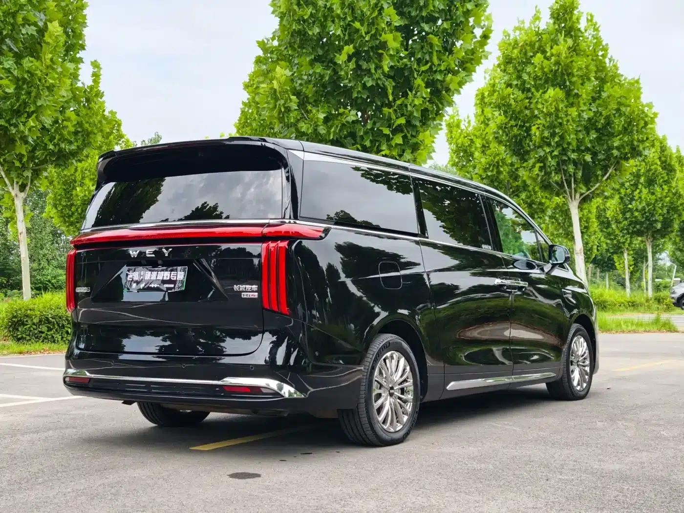 Weipai Gaoshan 2025 Model 4WD Gaoshan 9 — миниатюра 5