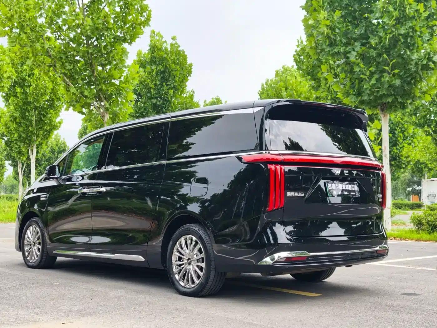 Weipai Gaoshan 2025 Model 4WD Gaoshan 9 — миниатюра 8